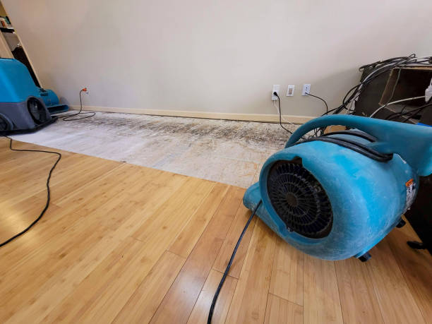 Professional Ceiling Water Damage Repair technician working in Olin, NC