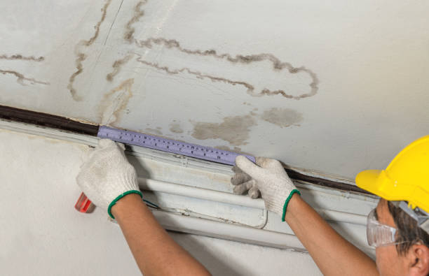Affordable Ceiling Water Damage Repair solutions in Olin, NC